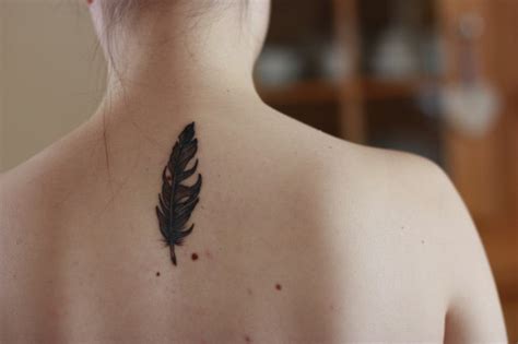 29 Feather Tattoo Images Pictures And Latest Ideas