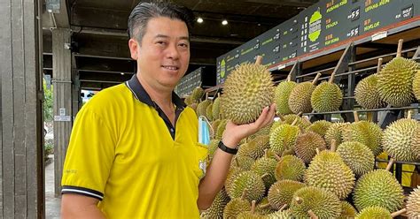 durianman rides   durian boom  straits times malaysia
