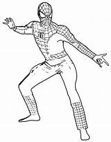 Coloring Muscle Man Spiderman Spider Popular Library sketch template