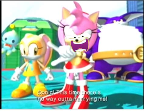 amy rose is going to love you flutterrage flutterbitch