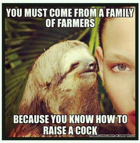 1000 Images About Sloth And Pick Up Lines On Pinterest Valentine Day