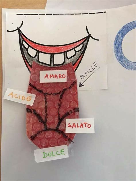 5 sensi gusto by maestra tina scienza per bambini attività del corpo