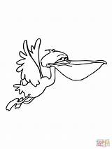 Pelican Coloring Flying Designlooter Funny sketch template