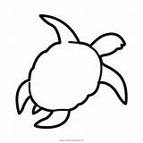 Tartaruga Colorir Ultracoloringpages sketch template