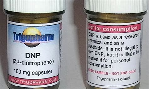 dnp  return   deadly weight loss drug philip strange science