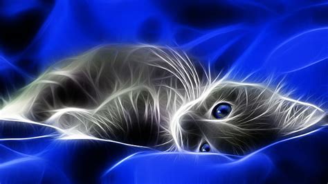 blue cats blue eyes animals fractalius grey spirit kittens