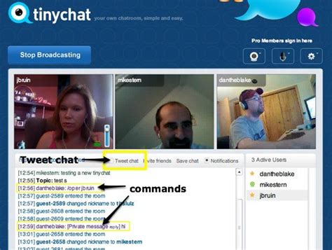 Tinychat Twitterfies Video Chatrooms