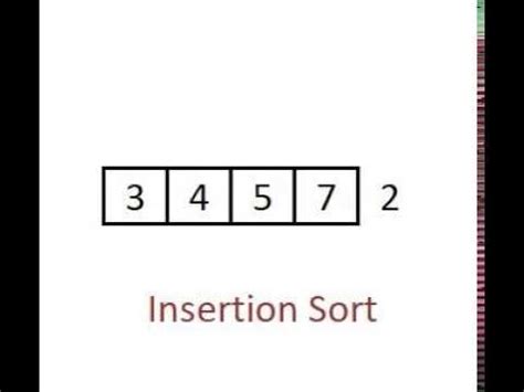 insertion sort animation video youtube