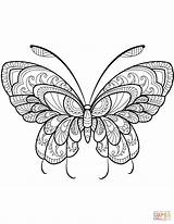 Coloring Zentangle Butterfly Pages Supercoloring Printable Drawing sketch template