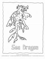 Sea Dragon Coloring Leafy Seadragon Pages Color Designlooter 792px 34kb Drawings Getdrawings Getcolorings sketch template