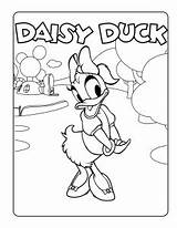 Daisy Coloring Kids Pages Simple sketch template