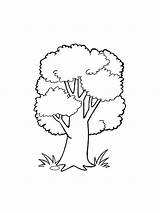 Tree sketch template