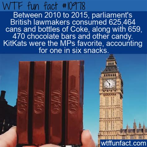 pin on daily wtf facts