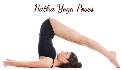 hatha yoga poses introduction michaels lisa