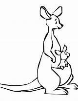 Coloring Roo Kangaroo Kanga Pages Colouring Pooh Printable Clipart Advertisement Clipartmag Books Popular sketch template