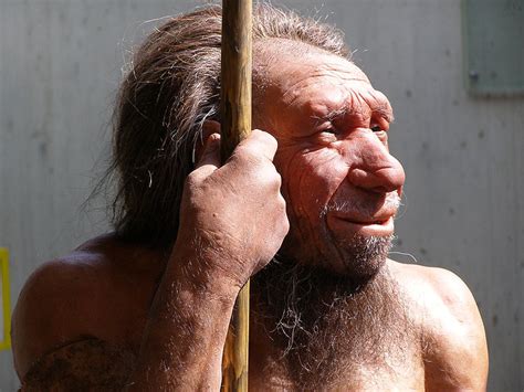 difference between neanderthals and homo sapiens