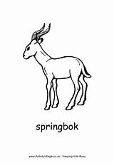 Springbok Colouring Pages Africa African Country South Coloring Animals Crafts Symbols Animal Kids Heritage Activityvillage Color Projects Outline Explore Theme sketch template