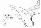 Coloring Pages Shark Megalodon Getcolorings Color Printable Print sketch template