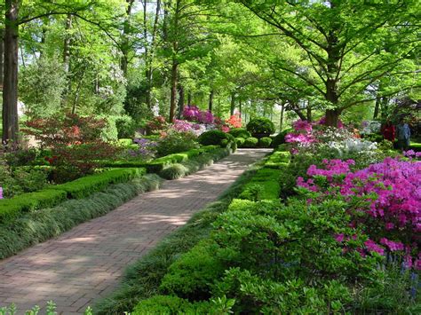 washington dcs   secret  national arboretum