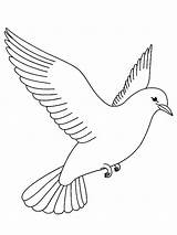 Mourning Coloring Dove Doves sketch template