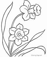 Spring Pages Coloring Flower sketch template