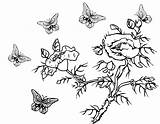 Flowers Coloring Branch Line Butterfly Wecoloringpage Pages sketch template
