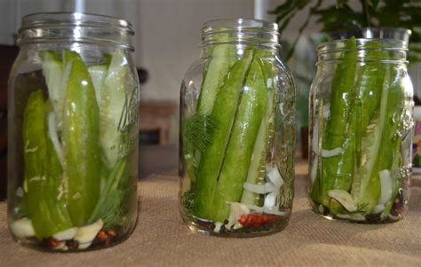 Easy Homemade Spicy Dill Pickles No Canning Required Quick Pickle