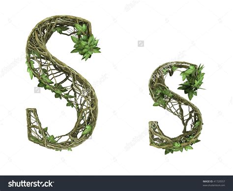 nature font ivy plants stock