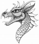 Dragon Coloring Drawing Pages Head Drawings Dragons Tattoo Zentangle Sketch Realistic Template Choose Board sketch template