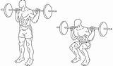 Squat Exercise Wikipedia Back Parallel Squats Svg sketch template