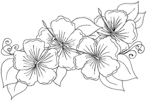 tropical flower coloring pages  getdrawings