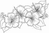Coloring Flower Pages Tropical Hibiscus Flowers Printable Color Sheets Marigold Hawaiian Adult Exotic Tattoo Drawing Adults Tattoos Floral Print Book sketch template