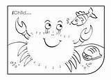 Dot Sea Crab Ocean Ichild Activities Under Animals Activity sketch template
