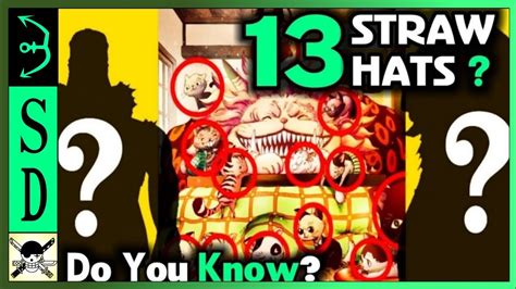 13 Straw Hat Crew Members Confirmed One Piece Youtube