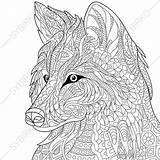 Wolf Coloring Pages Adult Zentangle Adults Book sketch template