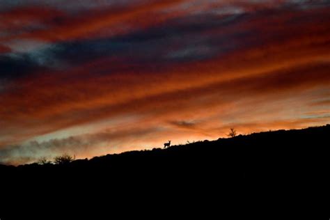 from a reader my arizona tis of thee arizona highways