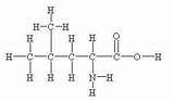 Leucine Dipeptide Acids Valine sketch template
