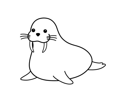 seal animal drawing    clipartmag