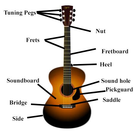 guitar anatomy  parts   guitar easily explained