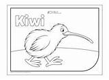 Kiwi Waitangi sketch template