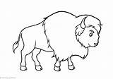 Buffalo Coloring Animal Pages Books Q3 Coloringpages sketch template