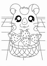 Hamtaro Coloring Pages Picgifs Tv Series sketch template