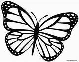 Malvorlagen Schmetterling Ausmalbilder Monarchfalter sketch template