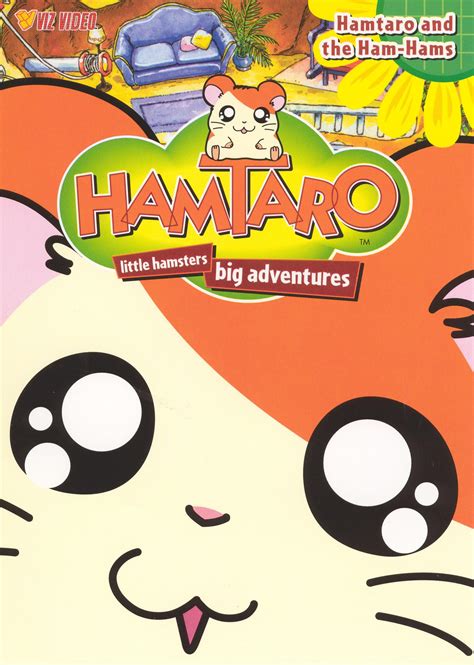 buy hamtaro vol  hamtaro   ham hams dvd