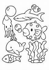 Mewarnai Laut Binatang Berkunjung Terima Bagi Kasih Semoga Bermanfaat sketch template