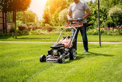 times  lawn care maintenance mighty green lawn care