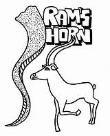 Yom Kippur Rams Torahtots Teruah Ramhorn Horn Torah sketch template