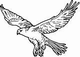 Hawk Mascots sketch template