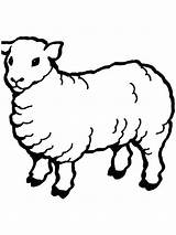 Gaddynippercrayons Sheep sketch template