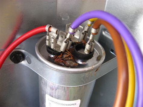 dual start capacitor wiring  wiring diagram source